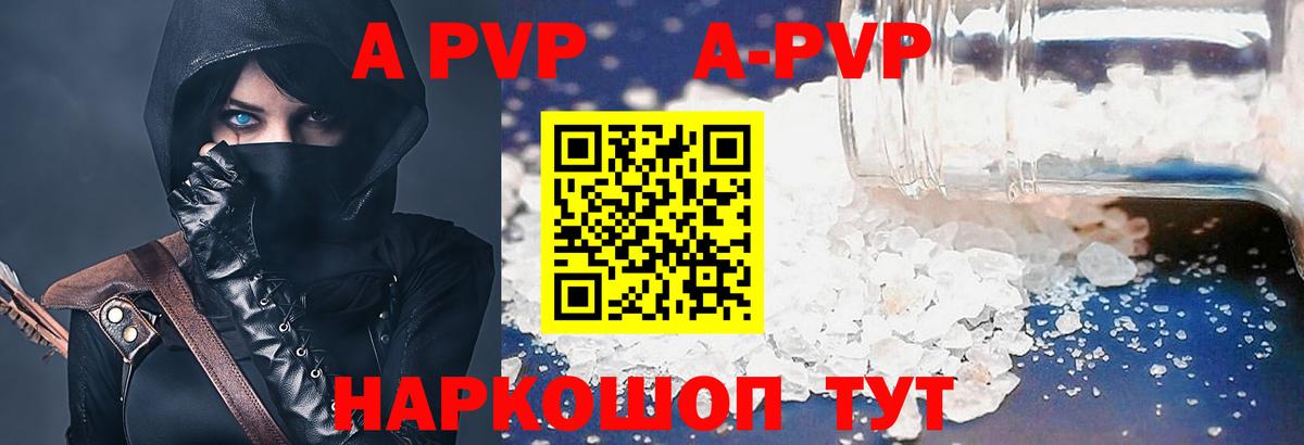 A PVP СК Сосновый Бор