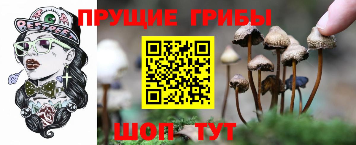магазин    Псилоцибиновые грибы Magic Shrooms  Сосновый Бор  Вход с VPN  Галлюциногенные грибы мухоморы 